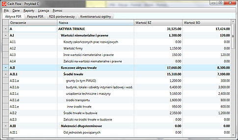 Cash Flow System Przykład wariantu dla PSR, Rachunek wyników wersja porównawcza